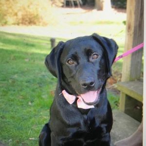 Meet your Posher, Stephanie